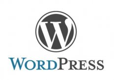 Wordpress 可视化编辑器不能用,如何解决?